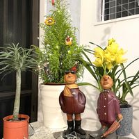 ウスネオイデス,コニファー,モンキーツリー,シンビジューム,観葉植物の画像