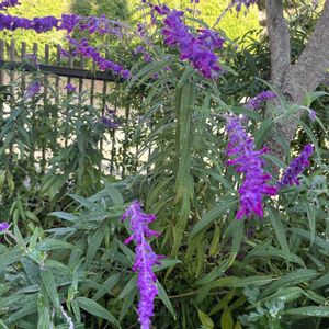 フェンスの画像