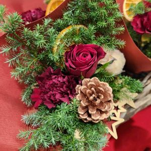 カーネーション,シクラメン,松ぼっくり,山茶花,クリスマスの画像