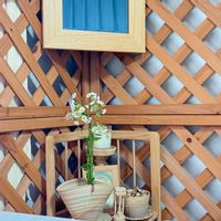 ハルジオン（春紫苑）,花言葉,花のある暮らし,誕生花,GS映えの画像