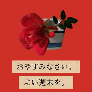 ミニバラ,今日も笑顔で♡,いつもありがとう❤️,今を生きる,穏やかな毎日の画像