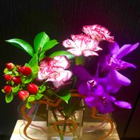 アレンジ,花言葉,鮮やか ,花のある暮らし,素敵の画像