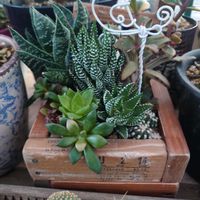 十二の巻,復興祈願,HTC,富山支部,しのんちゃんありがとうの画像