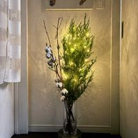 コットン,サンゴミズキ,ニオイヒバ,クリスマス,ドライフラワーの画像