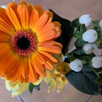 ガーベラ,ヒペリカム,リビング・ダイニングの画像