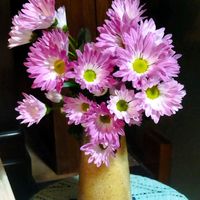 部屋,窓辺の画像