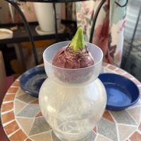 柚子,ヒヤシンス 水耕栽培,いつもの散歩道,平和を願う☆,いつまでも友達でいよう♡の画像