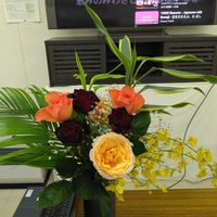 オンシジウム,ドラセナ,バラ,ホープ札幌教会の画像