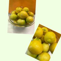 レモン,レモン  ❀,レモン水,繋がりに感謝 ❀,レモンケーキ  ❀の画像