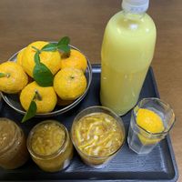 キッチン,家庭菜園の画像