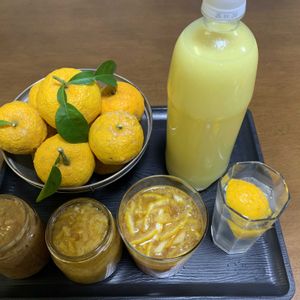 キッチン,家庭菜園の画像