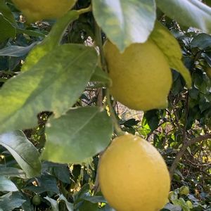 お出かけ先の画像