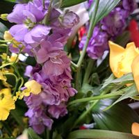 ストックの画像