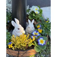 かわいいな♡,花のある暮らし,クリスマスツリー,お花が好き♡,ナチュラルリースの画像