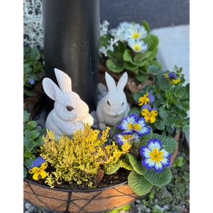 かわいいな♡,花のある暮らし,クリスマスツリー,お花が好き♡,ナチュラルリースの画像