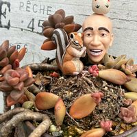 サボテン,葉牡丹,十二の巻, ブロンズ姫,いやされるの画像