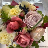 マトリカリア,マリーゴールド,マリーゴールド,マリーゴールド,ローズゼラニウムの画像