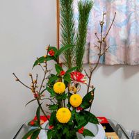 キク,マツ,ロウバイ,千両の画像