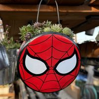 センペルビウム,多肉植物,リメイク缶,ガーデニング,リメイク鉢の画像