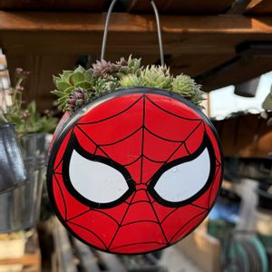 センペルビウム,多肉植物,リメイク缶,ガーデニング,リメイク鉢の画像