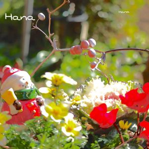 ガーデンシクラメン,ビオラ,サンキライ,寄せ植え,クリスマスの画像