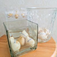 チューリップの球根,プシュキニア,水栽培,花のある暮らし,岩手県の画像