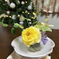 ミニバラ,ミニバラ,花器,使いやすい物の画像