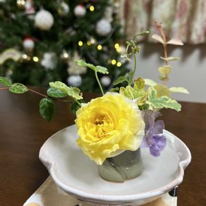 ミニバラ,ミニバラ,花器,使いやすい物の画像