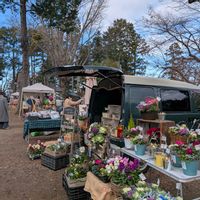 寄せ植え,ガーデニング,ナチュラルガーデン,コンテナガーデン,花のある暮らしの画像