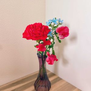カーネーション,スイートピー,ブルースター,切り花,生花の画像
