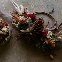 クチナシ,ケイトウ,センニチコウ,ニゲラ,ノイバラの画像