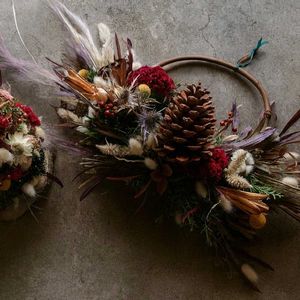 クチナシ,ケイトウ,センニチコウ,ニゲラ,ノイバラの画像