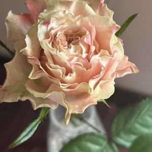 日比谷花壇,花のある暮らし,花のある生活,切り花を楽しむの画像