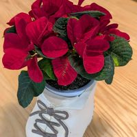 ポインセチア,ポインセチア　マウス,パグ,可愛い〜♡,焼き芋の画像