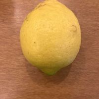 レモン,トゲなしレモン,れもん,裏庭,庭の画像