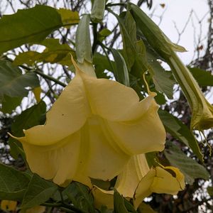 小さな庭の画像