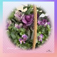 ストック,ペチュニア,葉牡丹,クレロデンドルム　ブルーウイング ,ガーデニングの画像