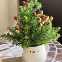 フラワーアレンジメントの画像