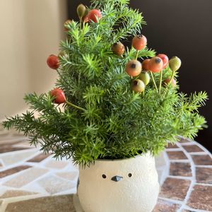 フラワーアレンジメントの画像