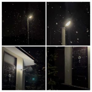 モミ,ぼたん雪,番外編・ごめんなさい。,＊番外編＊,降雪＊*＊の画像