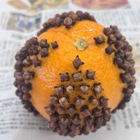 ポマンダー,クローブ,ネーブルオレンジ,ハーブを楽しむ,ワークショップ の画像