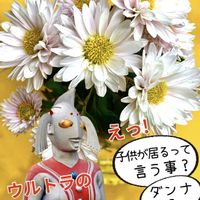 キク,お庭の植物,iPhone撮影,スマホ撮影,ウルトラの母の画像