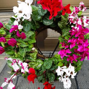 ガーデンシクラメン,ガーデンシクラメン,葉牡丹,葉牡丹リース,ガーデンシクラメン  リースの画像