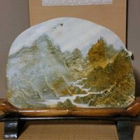 ミニトマト,深山樒（ミヤマシキミ）,GSのみなさんに感謝♡,素敵な出会いに感謝,GSの繋がりに感謝♡の画像