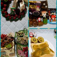 アリッサム,ゼラニウム,ネメシア,ビオラ,金魚草の画像