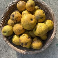 花梨の実,花が好き,無農薬❤家庭菜園,野菜が好きの画像