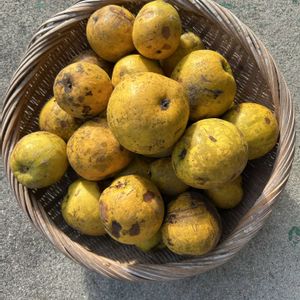 花梨の実,花が好き,無農薬❤家庭菜園,野菜が好きの画像
