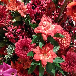 寄せ植え,鉢植え,フラワーアレンジメント,ガーデニング,散策の画像