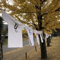 銀杏,イチョウ,イベントの画像