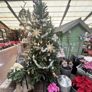 ローズマリー,花かんざし,絵になるスミレ・パルム,ギョリュウバイ,ギョリュウバイ（御柳梅）の画像